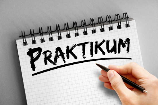 Praktikum Und Studium: Deine Möglichkeiten - Studis Online