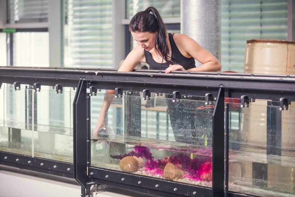 Studentin im Labor an Wassertank mit Farbe