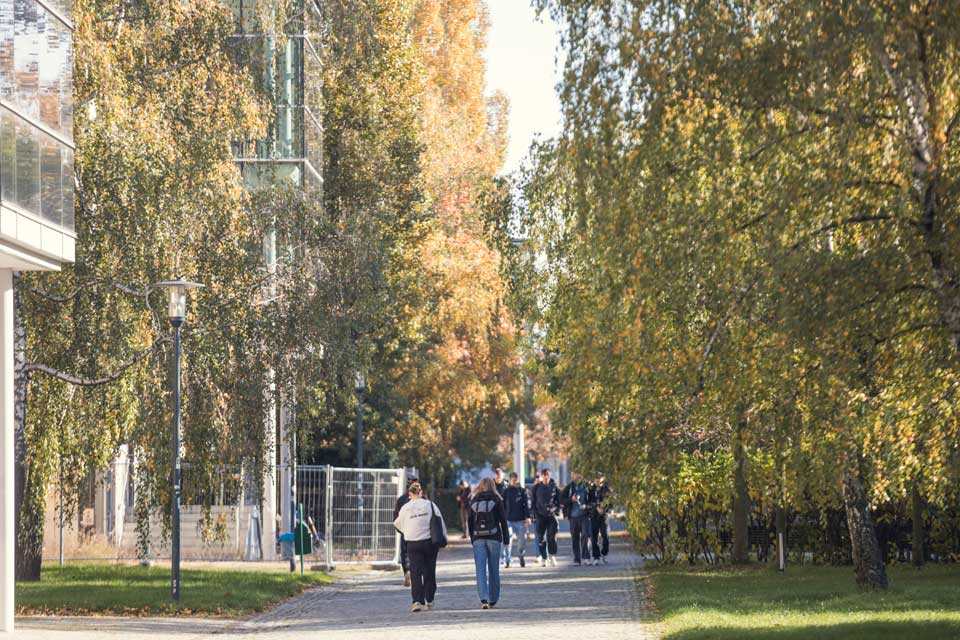 Studierende auf dem Campus